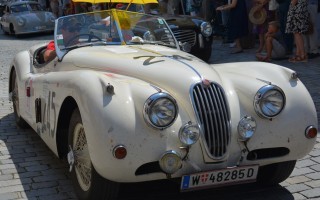 DSC_5347.JPG
