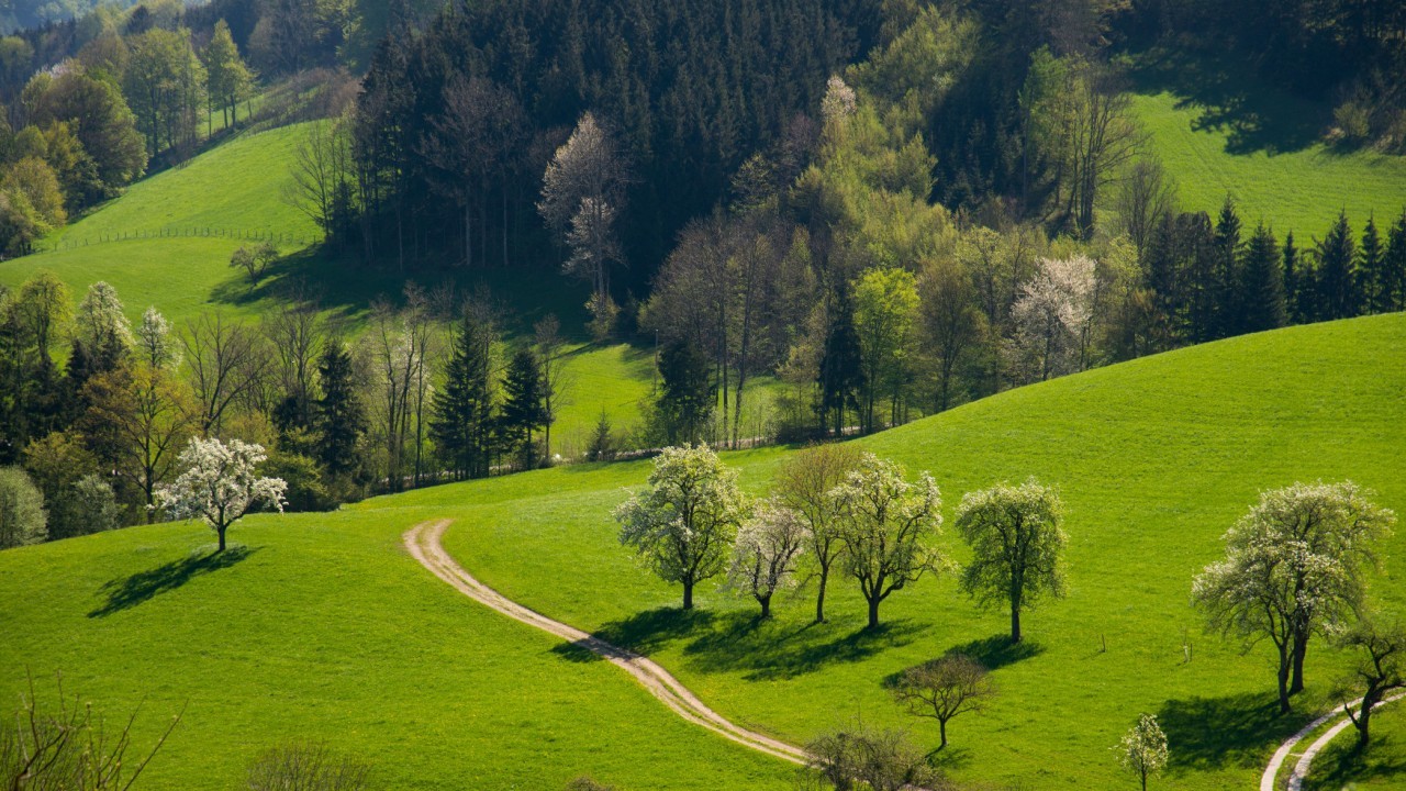 Blühende Landschaft_Waidhofen .JPG