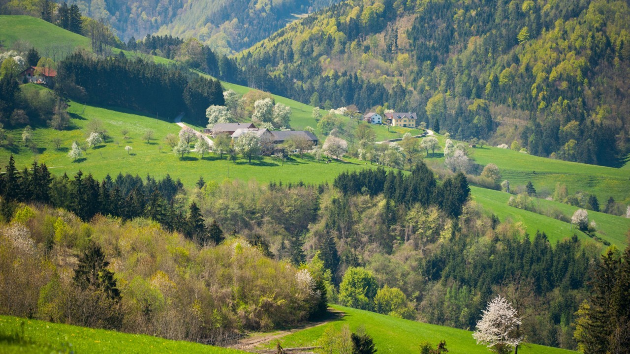 Landschaft in Blüte .JPG