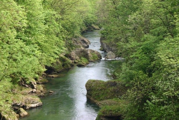 erlauftalschlucht riskommunal.netjpg.jpg