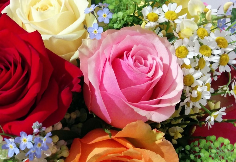 2020.05.04_Nl_Teaserbild_Blumen_AG.jpg