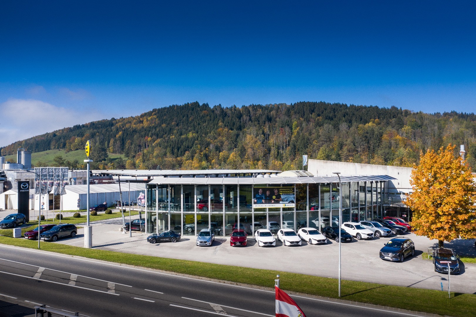 Lietz 4
