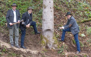 Gruppenfoto Baum fällen