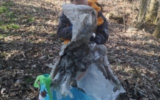 Plastikmüll im Wald 