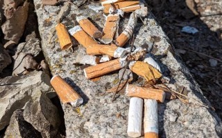 Zigarettenstummel am Boden