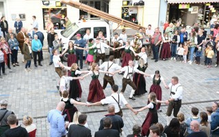 Maibaum Tanz