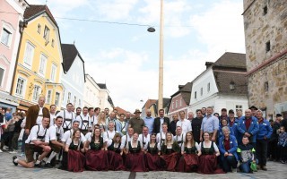 Maibaum Waidhofen