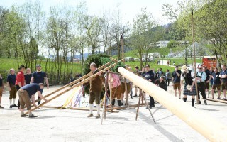 Maibaum auf Gestell