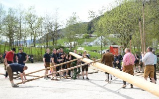 Maibaum aufstellen