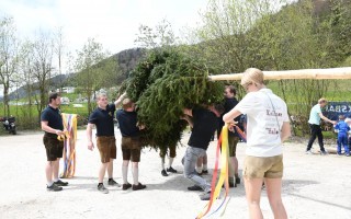 Maibaum hochheben