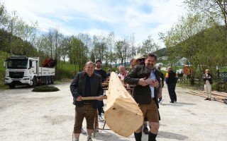 Maibaum tragen