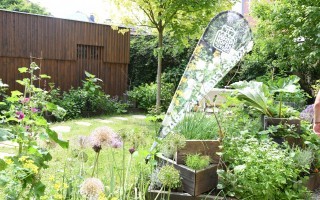 Garten mit Garten findet Stadt Beachflag