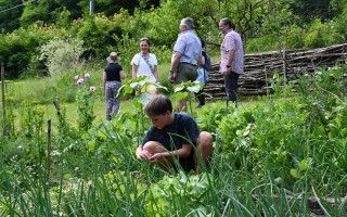 Junge in der Wiese