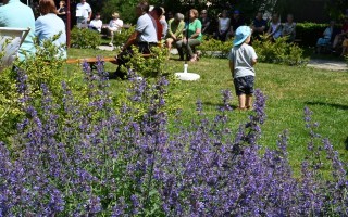 Lavendel und im Hintergrund Menschen