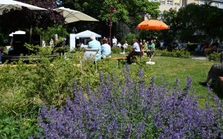 Lavendel und im Hintergrund Menschen