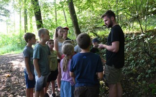 Mit dem Förster im Wald