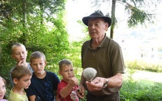 Mit dem Förster im Wald