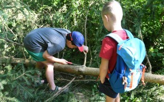 Mit dem Förster im Wald