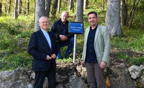 Schild beim Lichtweg für Stadtpfarrer errichtet