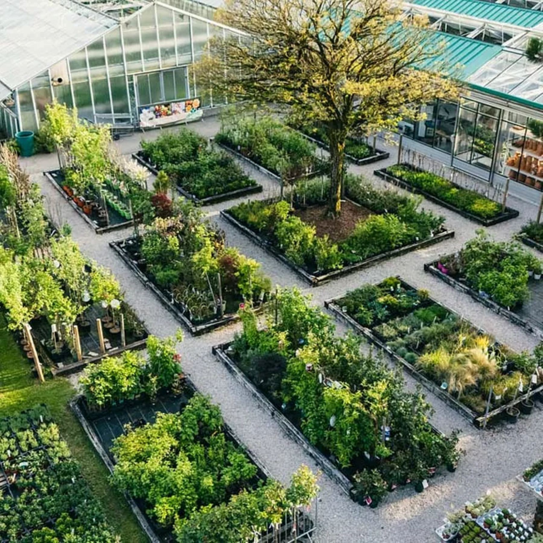 garten.jpg