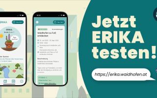 Erika-Banner (002).png