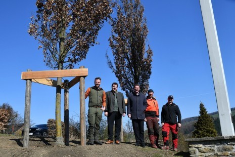 2026_03_Krautberg_Bäume