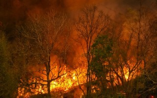 AdobeStock_332629056