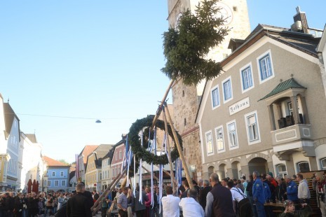 2026_05_Maibaum