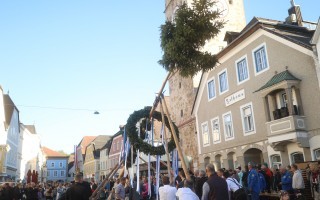 2026_05_Maibaum