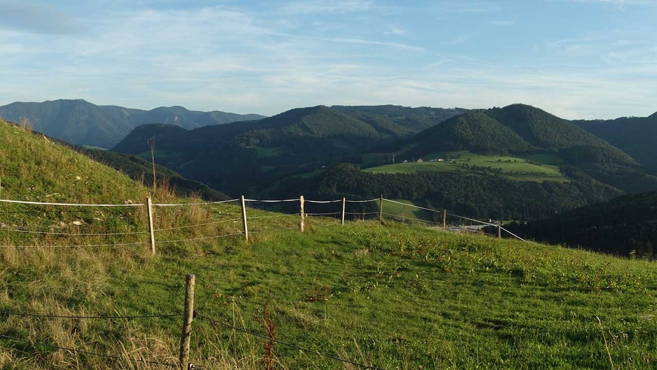 Kachelbild_Panoramahöhenweg_DSC03101.jpg