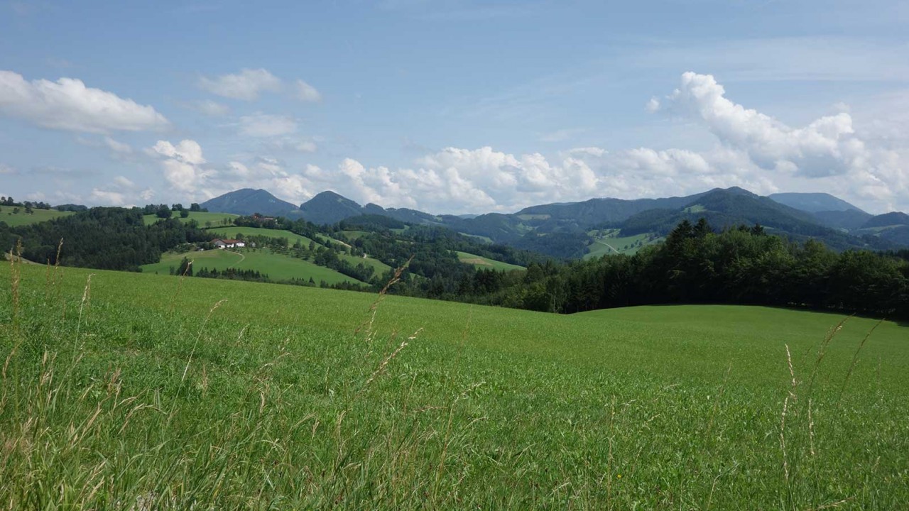 Kachelbild_Panoramahöhenweg_DSC02933.jpg