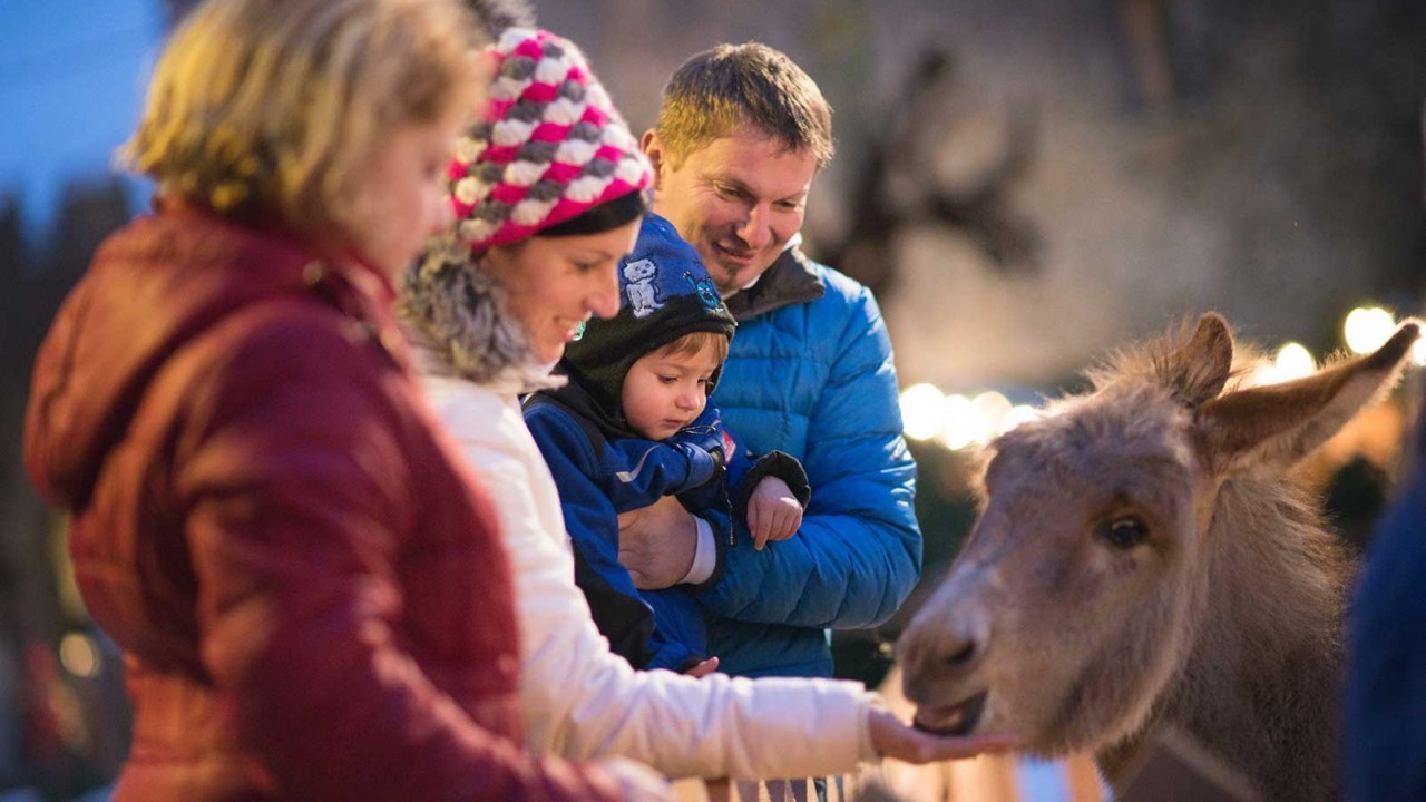 Kachelbild_Adventmarkt-im-Schloss-Rothschild-Produkte_Adventzauber_2013_Fotograf_Dominik_Stixenberger_014.jpg