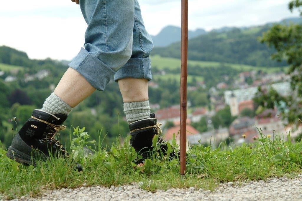 Wandern mit Blick auf Waidhofen.jpg