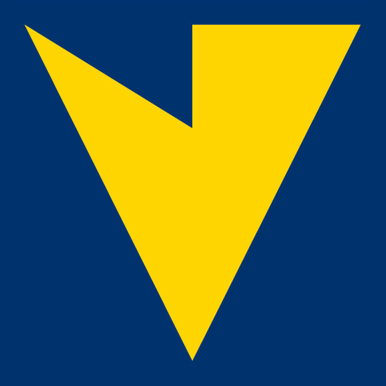 vhs-logo.jpg